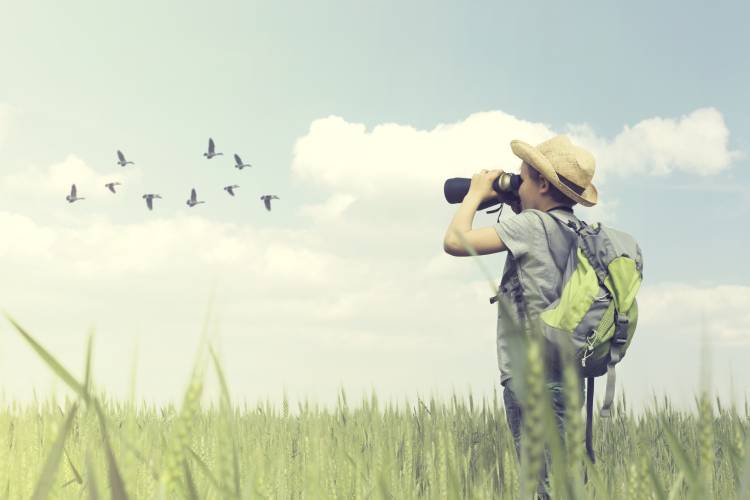 A child watches birds with binoculars 